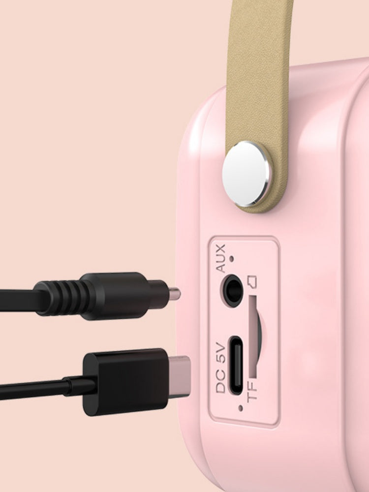 Mini Wireless Karaoke Speaker & Microphone