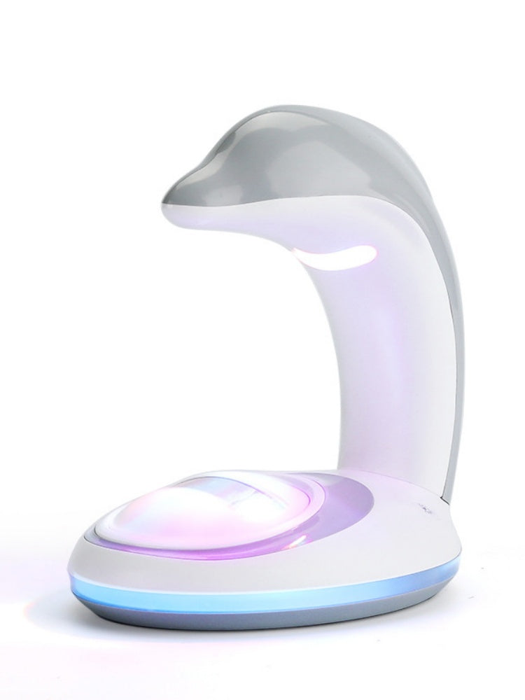 Dolphin Rainbow Night Light