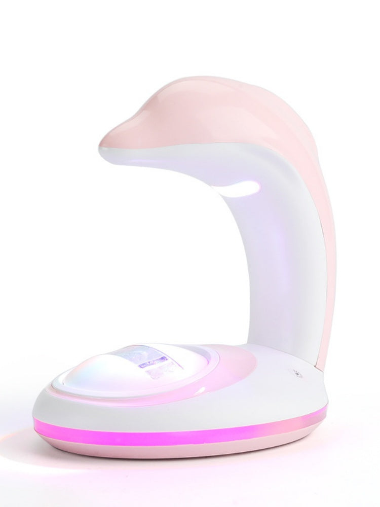 Dolphin Rainbow Night Light